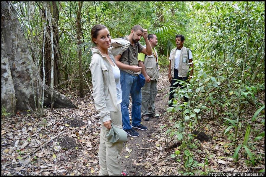 И так наш маршрут закончился деревня Кармилита — город Тинтал — город Эль Мирадор. Гватемала И так наш маршрут закончился деревня Кармилита — город Тинтал — город Эль Мирадор. Гватемала