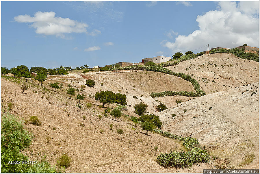 Дорога в древний город Сафи (Марокканский Вояж ч21) Сафи, Марокко