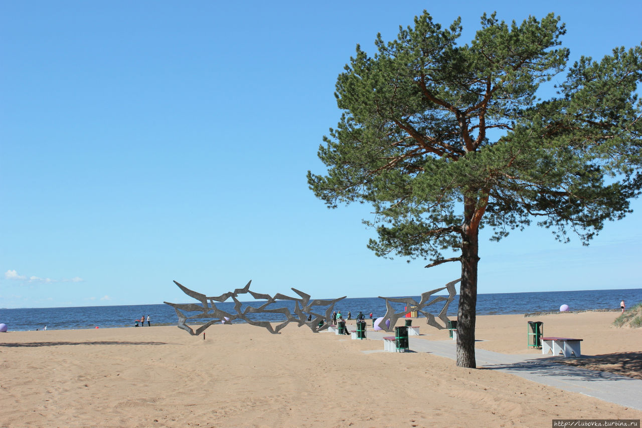пляж Ласковый
май 2015 Солнечное, Россия
