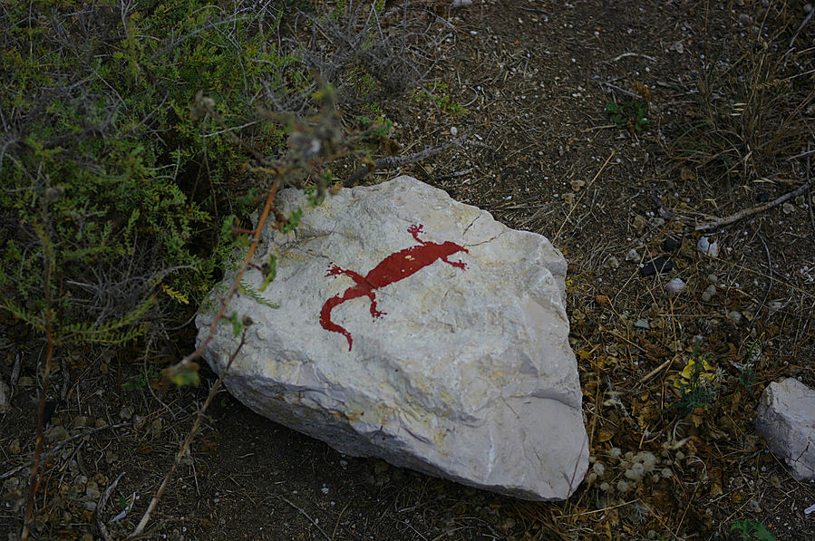 В поисках ящерок) В поисках ящерок)