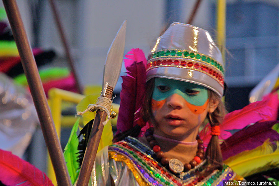 Молодой вождь — Росс Перо (розовое перо) Молодой вождь — Росс Перо (розовое перо)