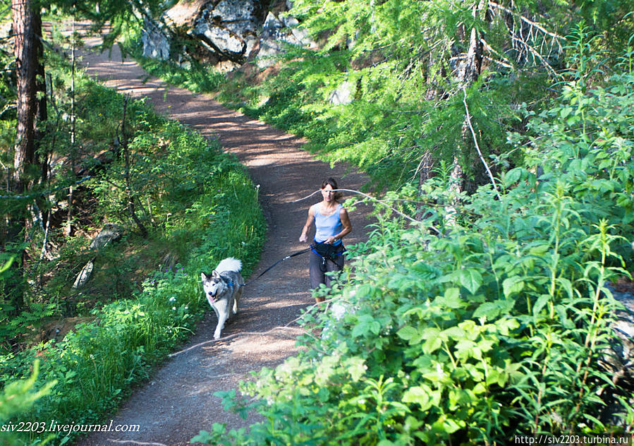 M&M — Хайкинг по прекрасной Церматтщине Церматт, Швейцария M&M — Хайкинг по прекрасной Церматтщине Церматт, Швейцария