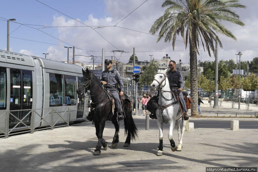 Конная полиция в Иерусалиме. Иерусалим, Израиль
