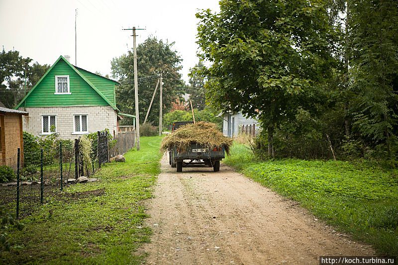 Райский остров на Чудском озере