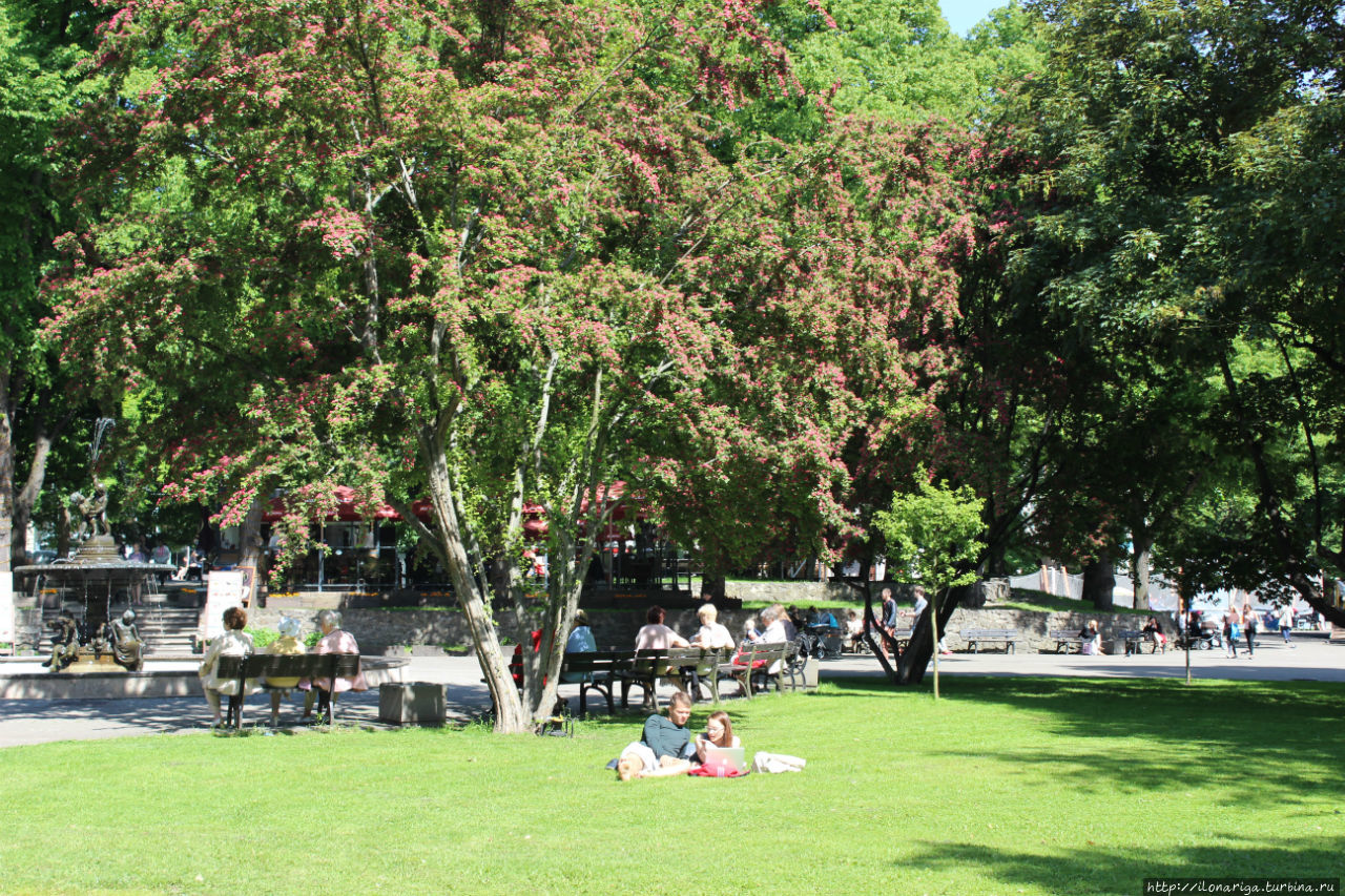 Зеленое ожерелье Риги Рига, Латвия Зеленое ожерелье Риги Рига, Латвия