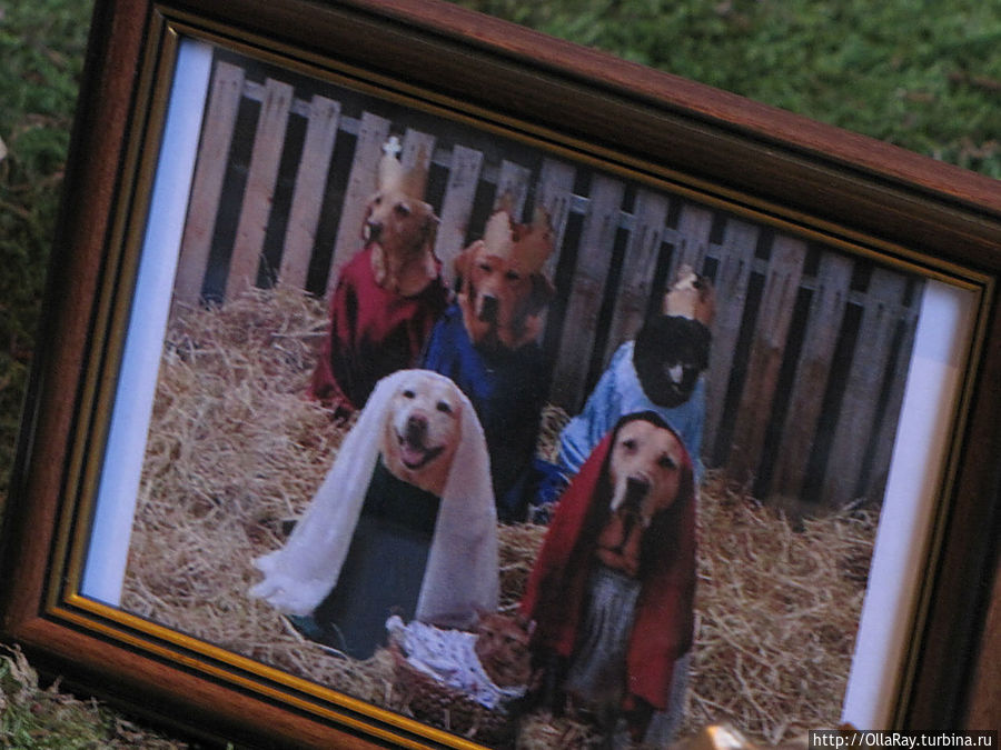 Работа на конкурс вертепов. Собако-кошковый. Работа на конкурс вертепов. Собако-кошковый.