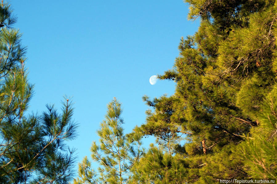 Утро в горах Торос Алания, Турция Утро в горах Торос Алания, Турция