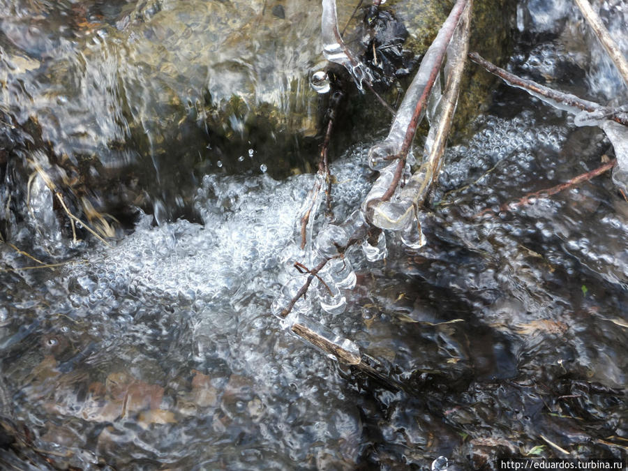 Оттаиваем и зеленеем))) Красноярск, Россия Оттаиваем и зеленеем))) Красноярск, Россия