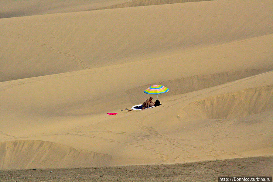 романтика притяжения большой дюны безгранична романтика притяжения большой дюны безгранична