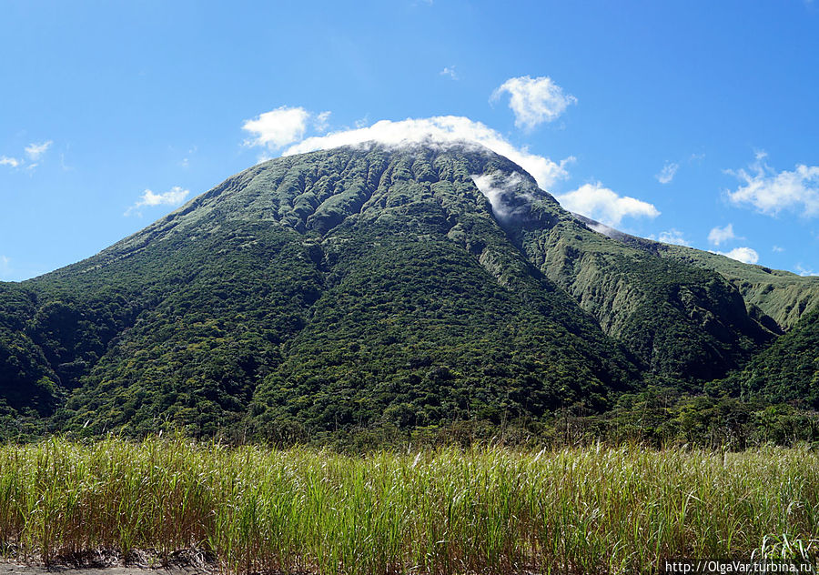 Нижнюю часть вулкана Булусан покрывают заросли леса, а верхнюю, кажущуюся голой, — режущая руки трава Cogon или, по-научному, императа цилиндрическая, за которую без перчаток лучше не хвататься. Нижнюю часть вулкана Булусан покрывают заросли леса, а верхнюю, кажущуюся голой, — режущая руки трава Cogon или, по-научному, императа цилиндрическая, за которую без перчаток лучше не хвататься.