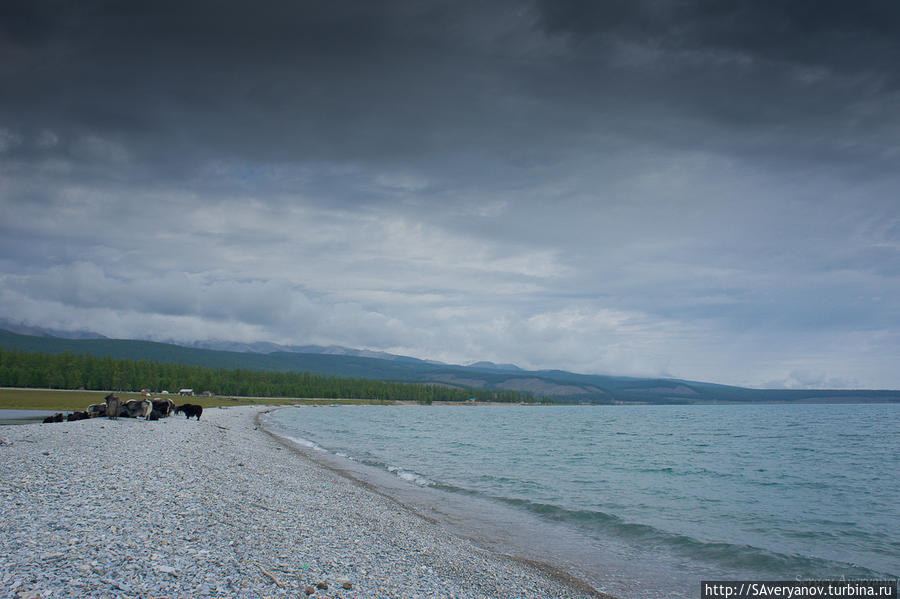 Озеро Хубсугул Селенгинский аймак, Монголия