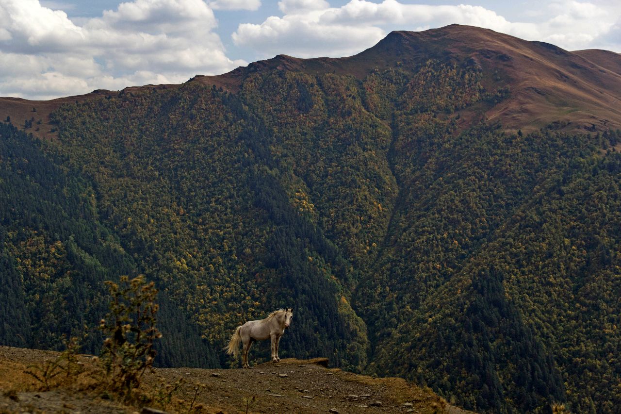 природа Тушети Тушети Национальный Парк, Грузия