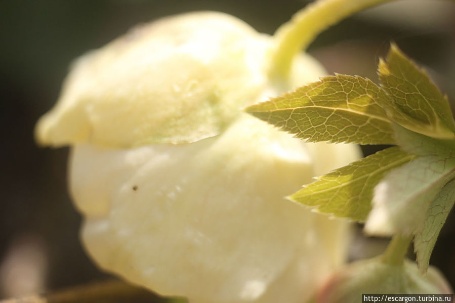 Краски апреля Беларусь Краски апреля Беларусь