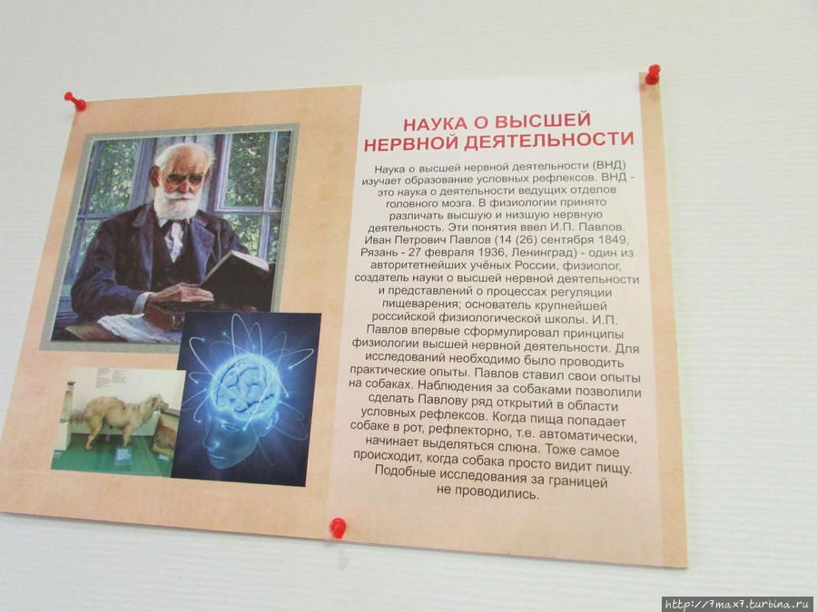 Музей занимательных наук Эйнштейна Саратов, Россия