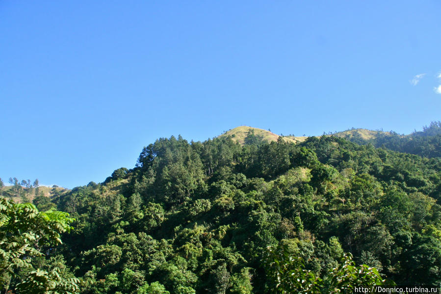 Санта Боб и волшебники Синей горы Блю энд Джон Кроу Маунтинс Национальный Парк, Ямайка