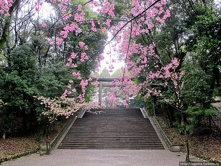 Входные ворота тории. Входные ворота тории.