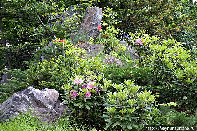 День музея Южно-Сахалинск, Россия День музея Южно-Сахалинск, Россия