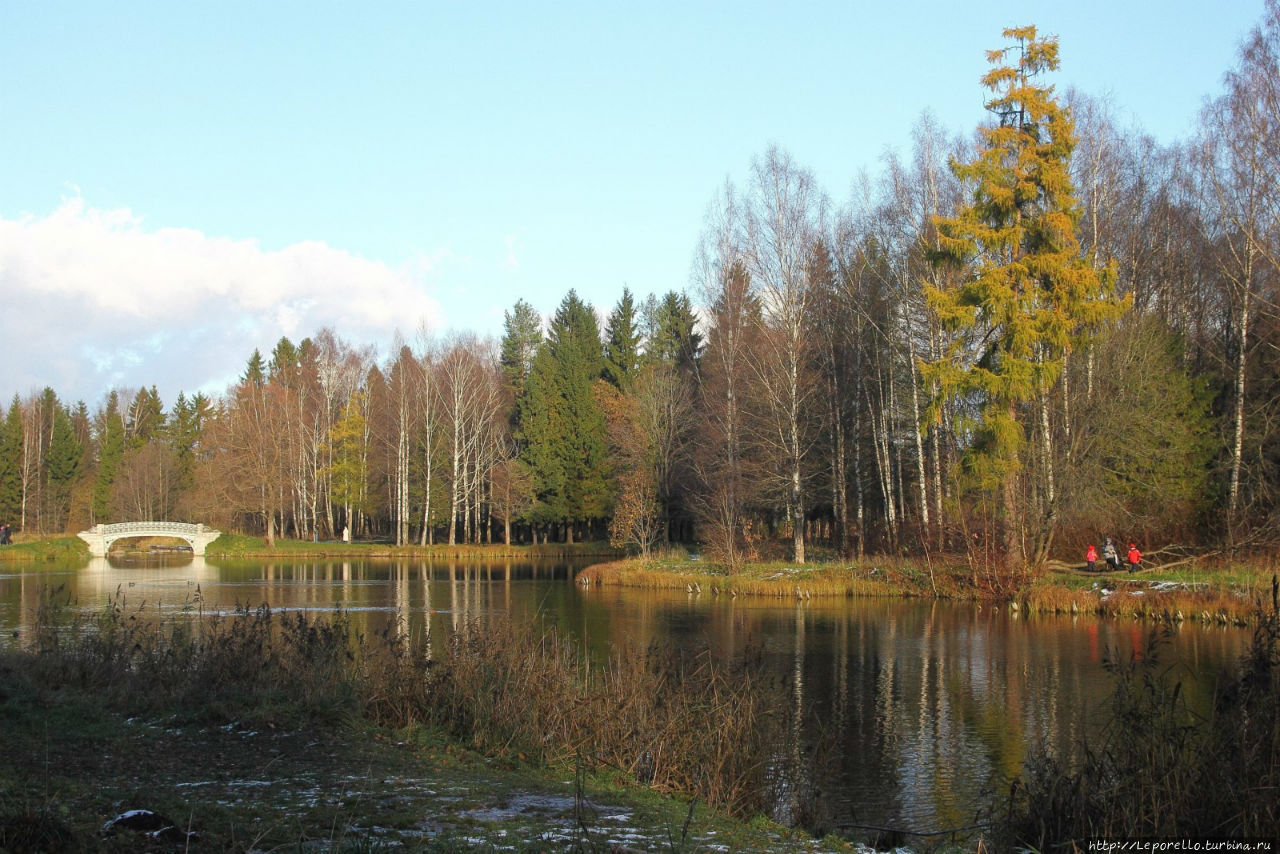 Парки Гатчины. Предзимье. Гатчина, Россия