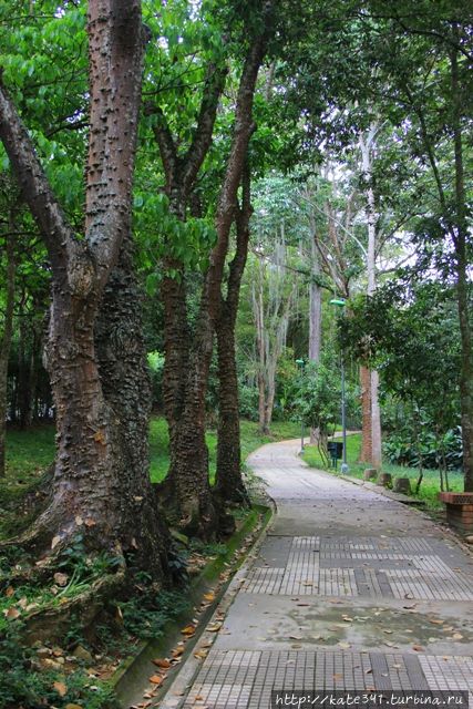 Парк Ла Флора Букараманга, Колумбия