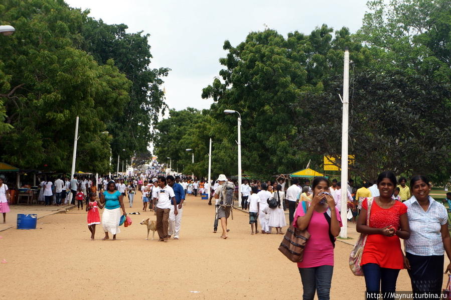 Главная   улица   комплекса. Катарагама, Шри-Ланка