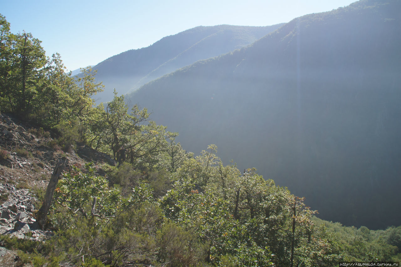 Настоящий густой смешанный лес Муниeйос, один из лучших на всем Пиренейском полуострове.В лесу растут березы, дубы и ели. Правда, чтобы пойти гулять по Муниейос, нужно позаботиться об этом заранее — за день в лес пускают всего 20 человек. Но ожидание того стоит.Лес находится в автономии Астурия, между реками Нарсеа и Ибиас, и окружен горными пиками Муниэльос, Вальдебойс и  Ла-Вильелья. Он простирается на 56 кв. км и признан самым большим дубовым лесом полуострова и природным заповедником. Муниэйос Заповедник, Испания