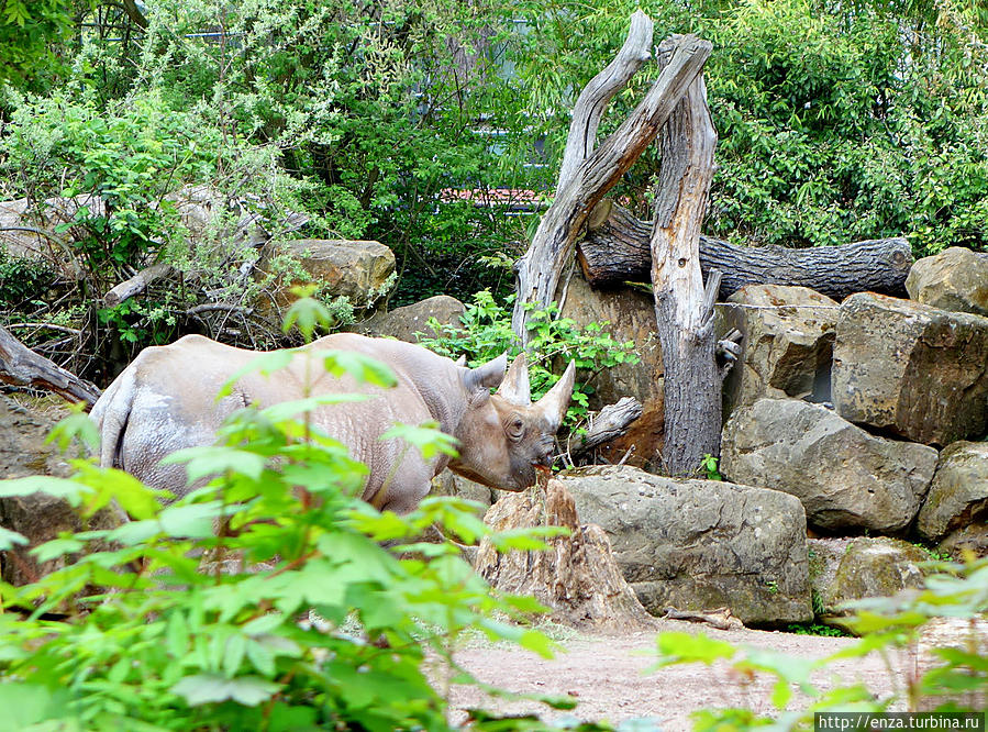 Зоопарк Ганновера Ганновер, Германия