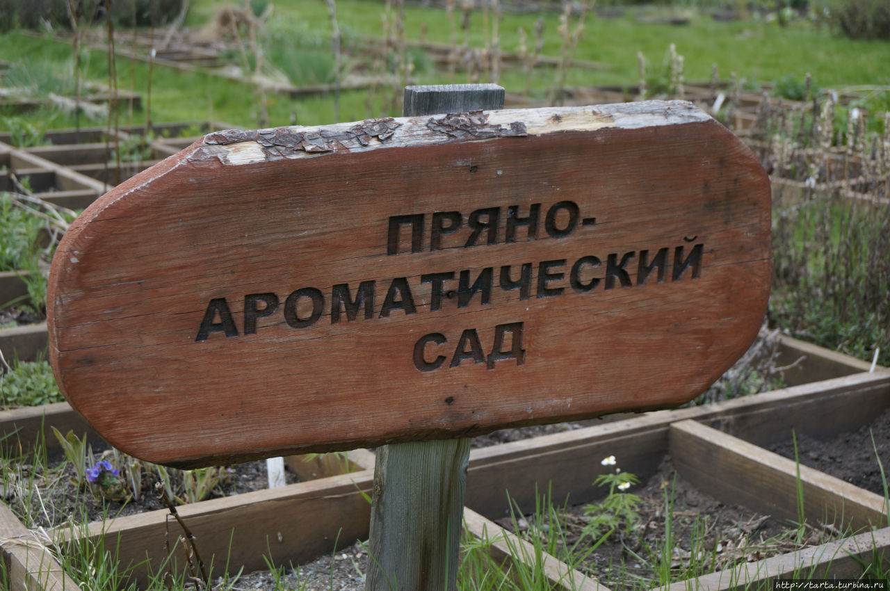 Ботанический сад – заповедный уголок Горного Алтая Камлак, Россия