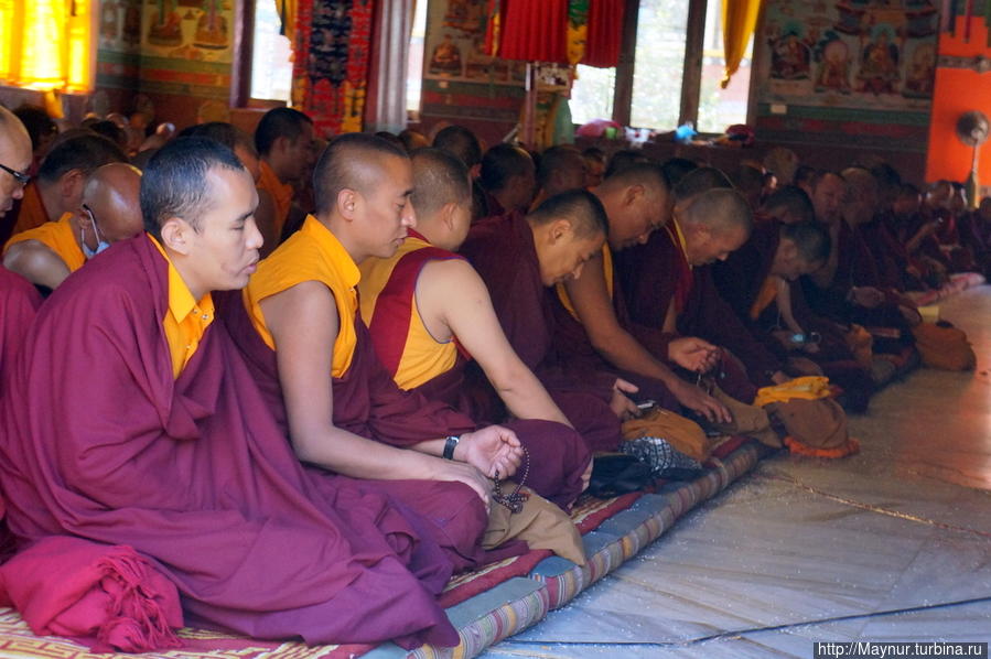 В  помещении  храма  во время  службы  находятся  только  монахи. Катманду, Непал