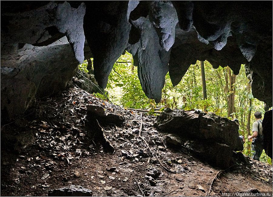 Пещерный мир Остров Бохол, Филиппины
