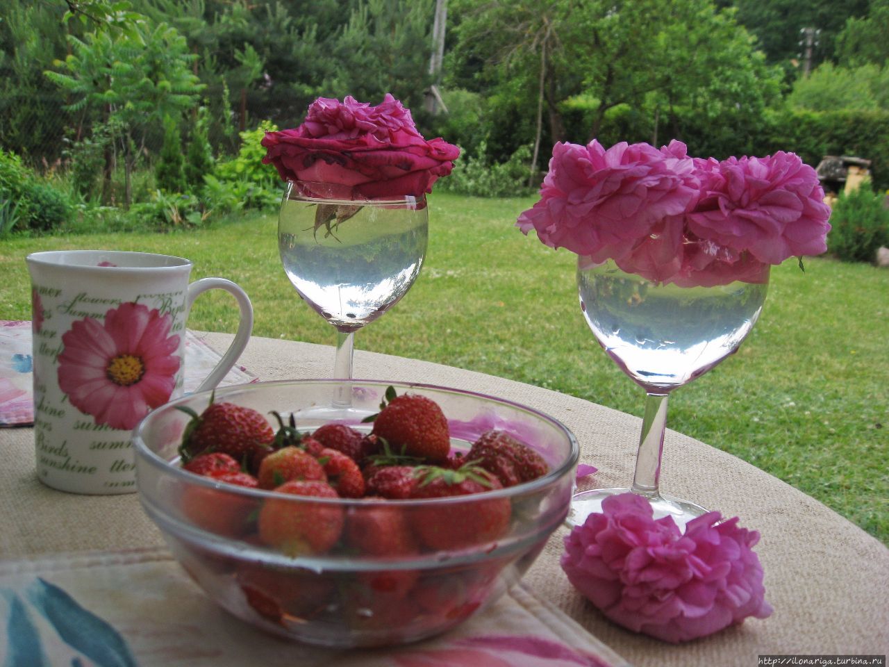 Дача. Путешествие, длиной в полгода Рига, Латвия Дача. Путешествие, длиной в полгода Рига, Латвия