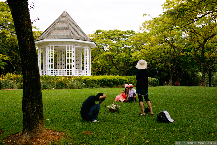 Местные свадебщики, их кстати в этом парке достаточно много тусовалось. Сингапур (город-государство)
