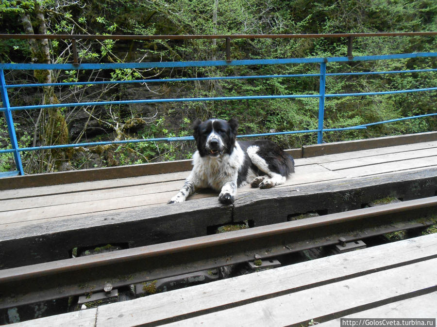 странствующий Асун Мезмай, Россия странствующий Асун Мезмай, Россия
