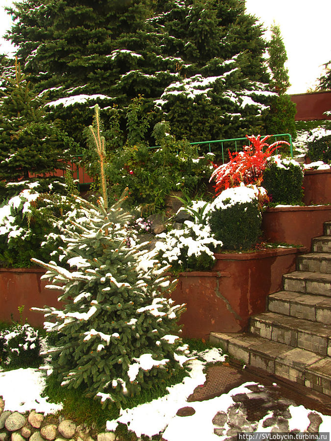 На горе Кок-Тобе На горе Кок-Тобе