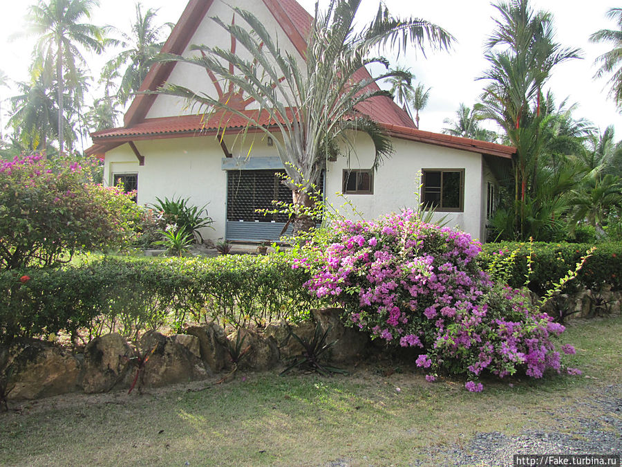 ромовая ферма ромовая ферма