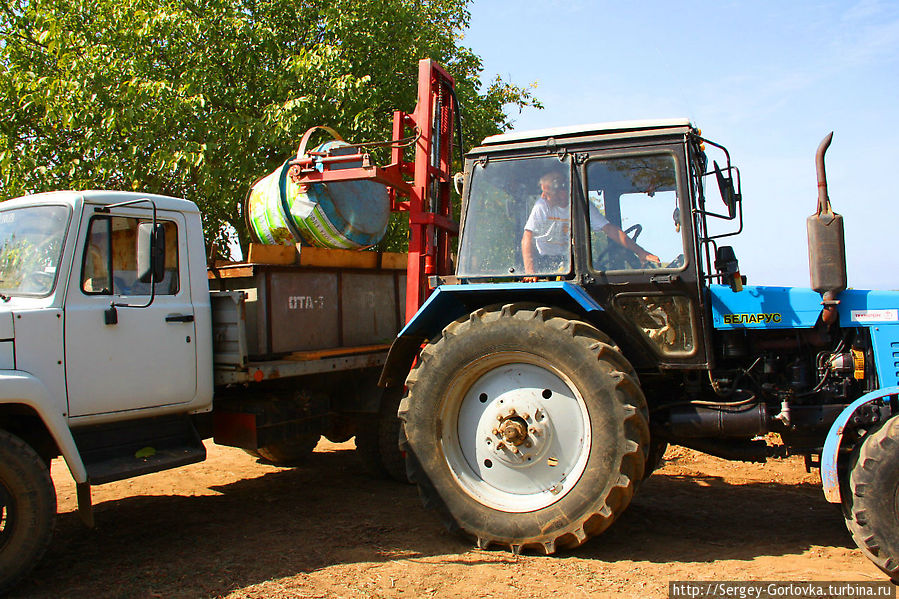 Золотая Амфора 2012 Песчаное, Россия Золотая Амфора 2012 Песчаное, Россия