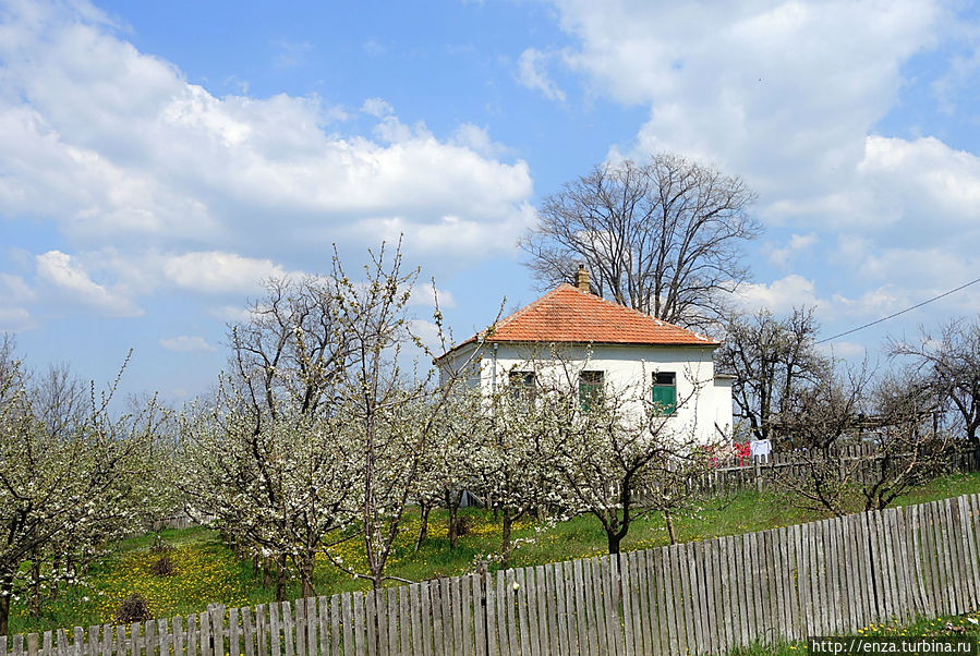 Орашац — место, где началось Первое сербское восстание Орашац, Сербия