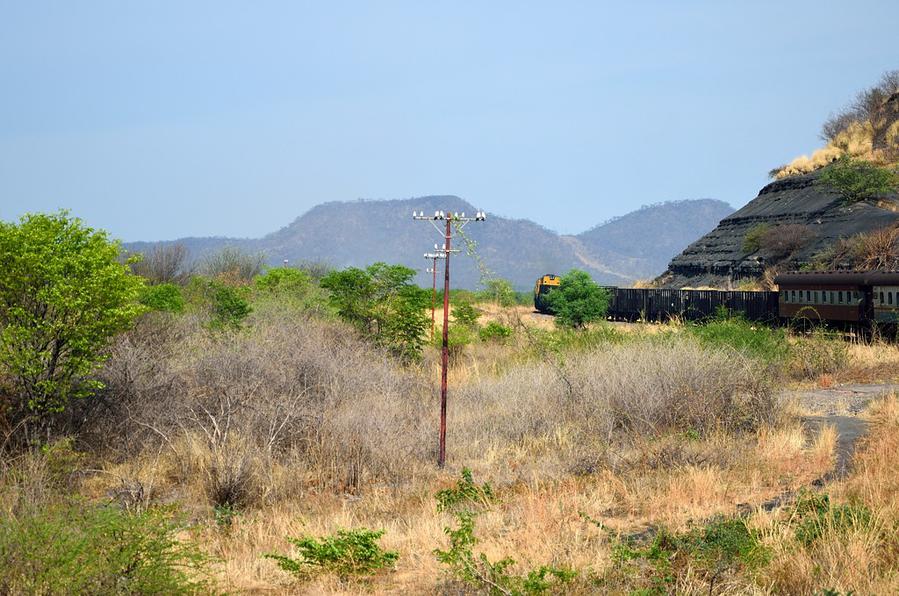 Вид из окна поезда Булавайо — Виктория-Фолз Булавайо, Зимбабве