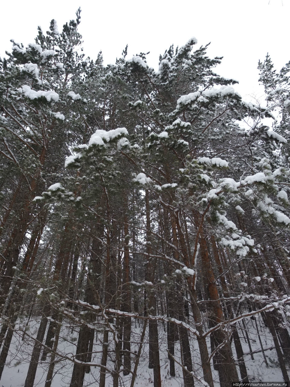 Прекрасный снежный денёк!!! Красноярск, Россия Прекрасный снежный денёк!!! Красноярск, Россия
