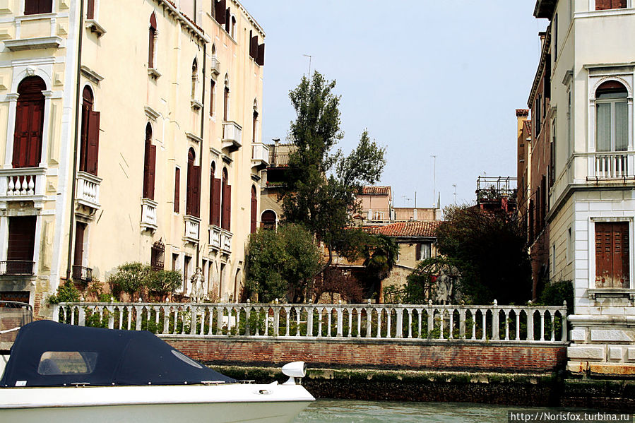 Есть в городе и милые зеленые дворики Венеция, Италия