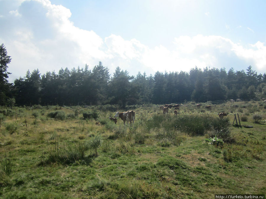 Деревенский отдых (день 5й) Смолянская область, Болгария