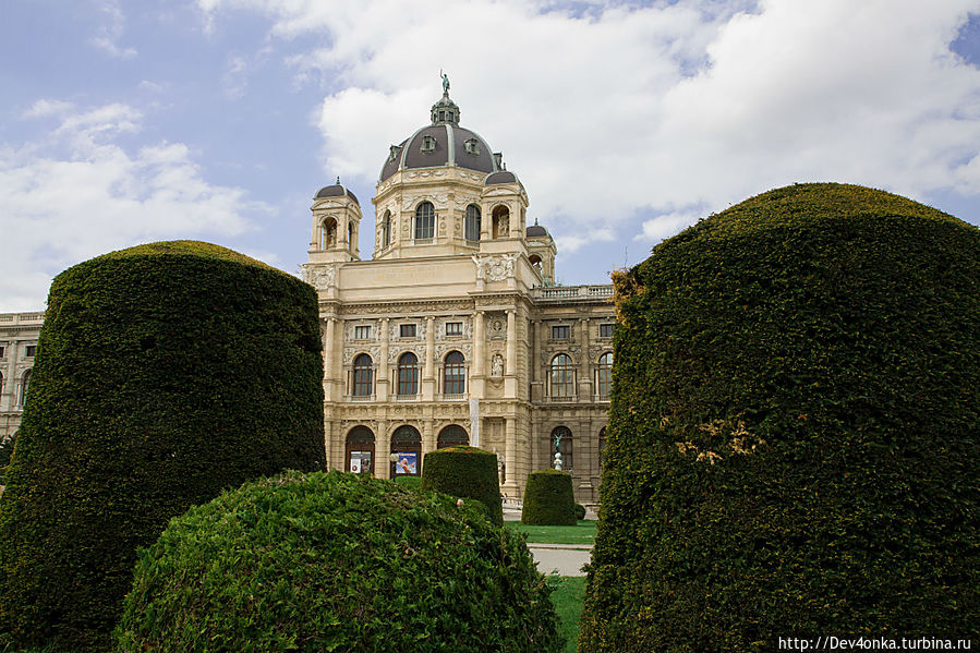 Цветущая  Вена Вена, Австрия