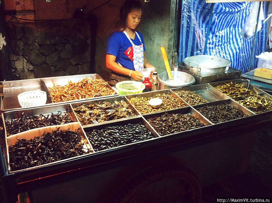 Тайланд 2013 Паттайя, Таиланд Тайланд 2013 Паттайя, Таиланд