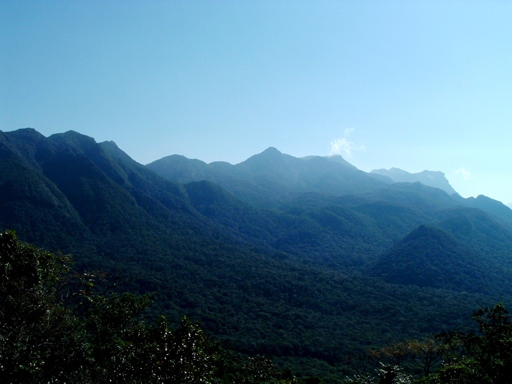 На туристическом поезде через горы и заповедные джунгли Морретис, Бразилия