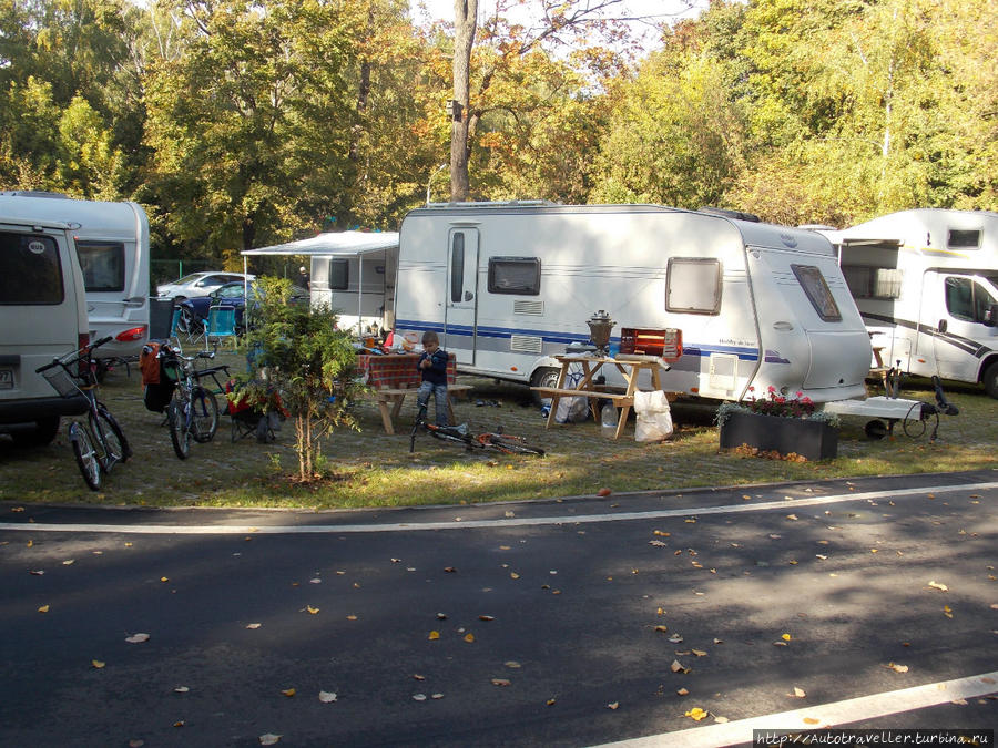 Он появился!!! Он появился!!!