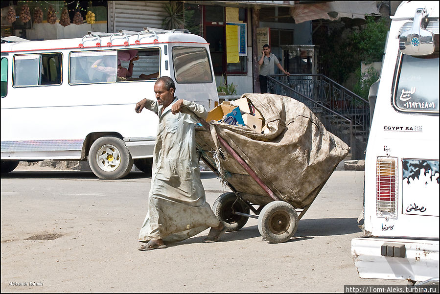 Двадцать первый век на дворе. А в столице Египта — ничего не меняется. Все также ходят в халатах — видимо такая одежда — оптимальный вариант при жаре. И мусор возят вот в таких тележках. Чистота здесь — понятие весьма условное...
* Каир, Египет