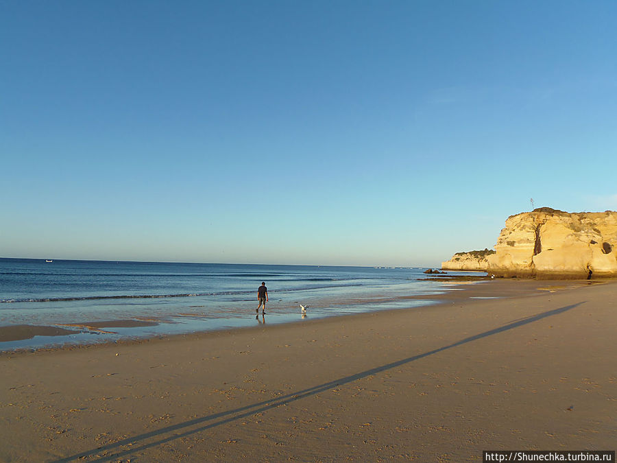 Тот же берег. Отлив. Тот же берег. Отлив.