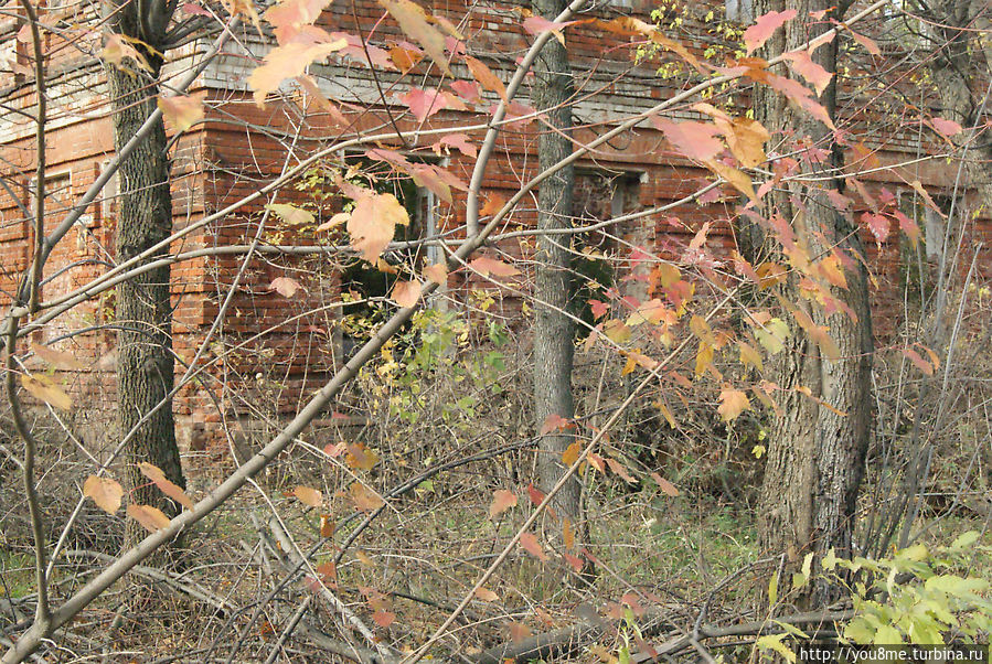 Богородск Москва и Московская область, Россия Богородск Москва и Московская область, Россия
