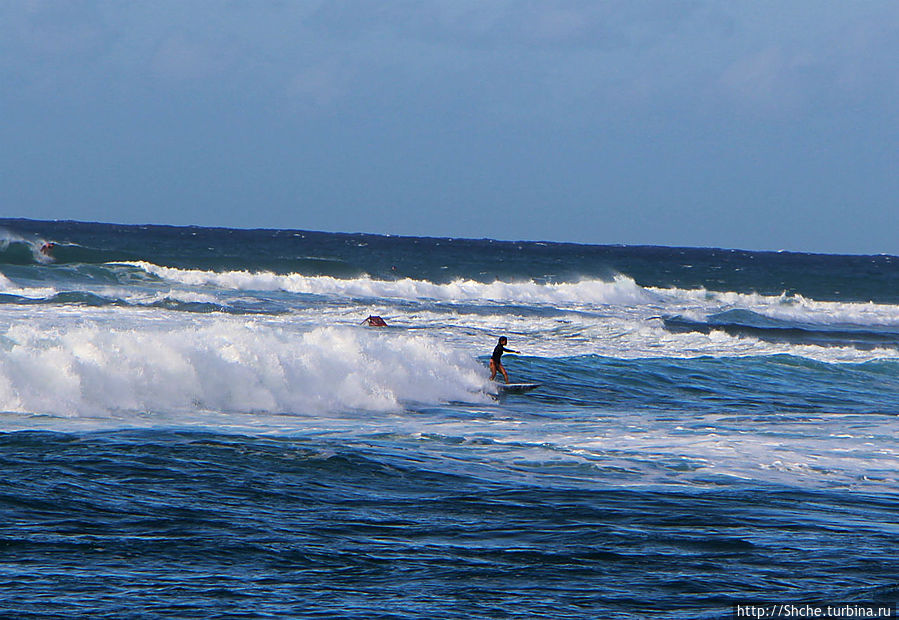 Девушки с доской, или серфинг — не только мужское занятие Папукеа, остров Оаху, CША