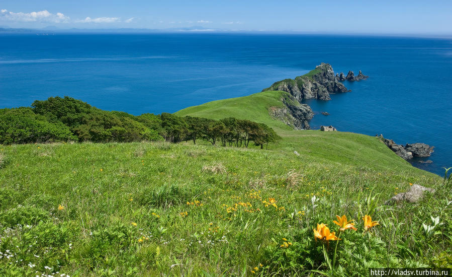 Пейзаж с мысом Пальчатый. Аскольд остров, Россия Пейзаж с мысом Пальчатый. Аскольд остров, Россия