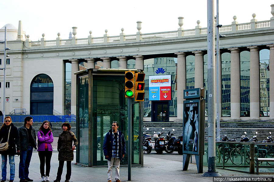 Такой противоречивый светофор Такой противоречивый светофор